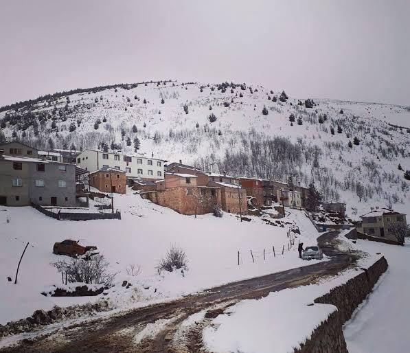 b2db9c4e-0742-43a8-85f9-5a5f42efcdc1